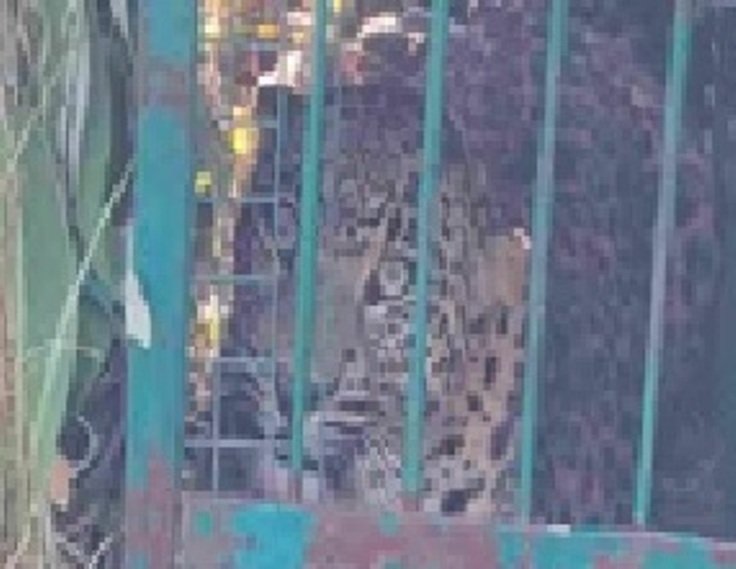 गुलदार पकड़े जाने से ग्रामीणों ने ली राहत की सांस